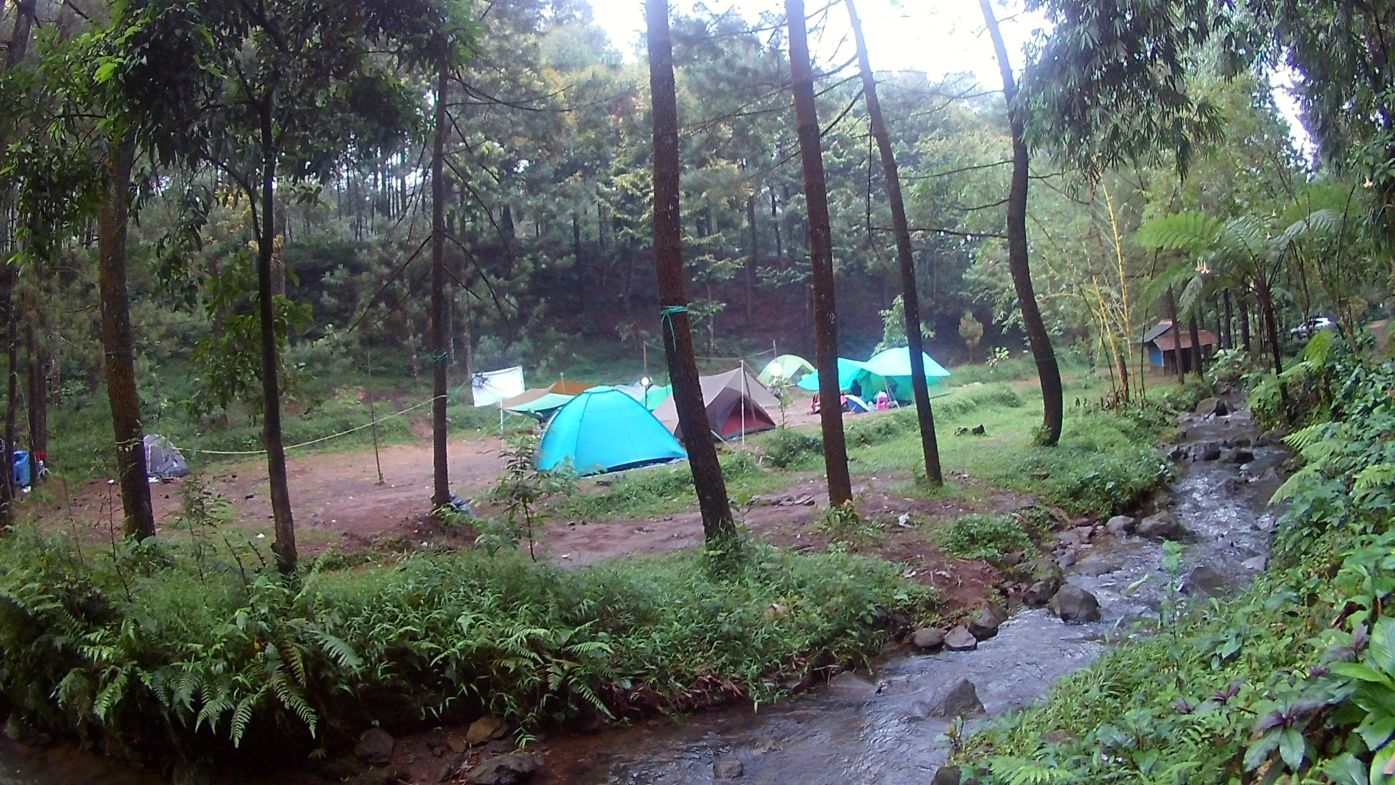 Camping di Curug Cihurang, Gunung Halimun Salak, Bogor  Celcius